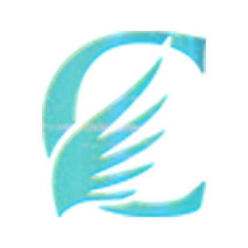 icon OKOK606